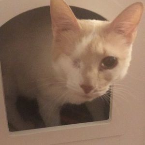 Meet your Posher, Rena